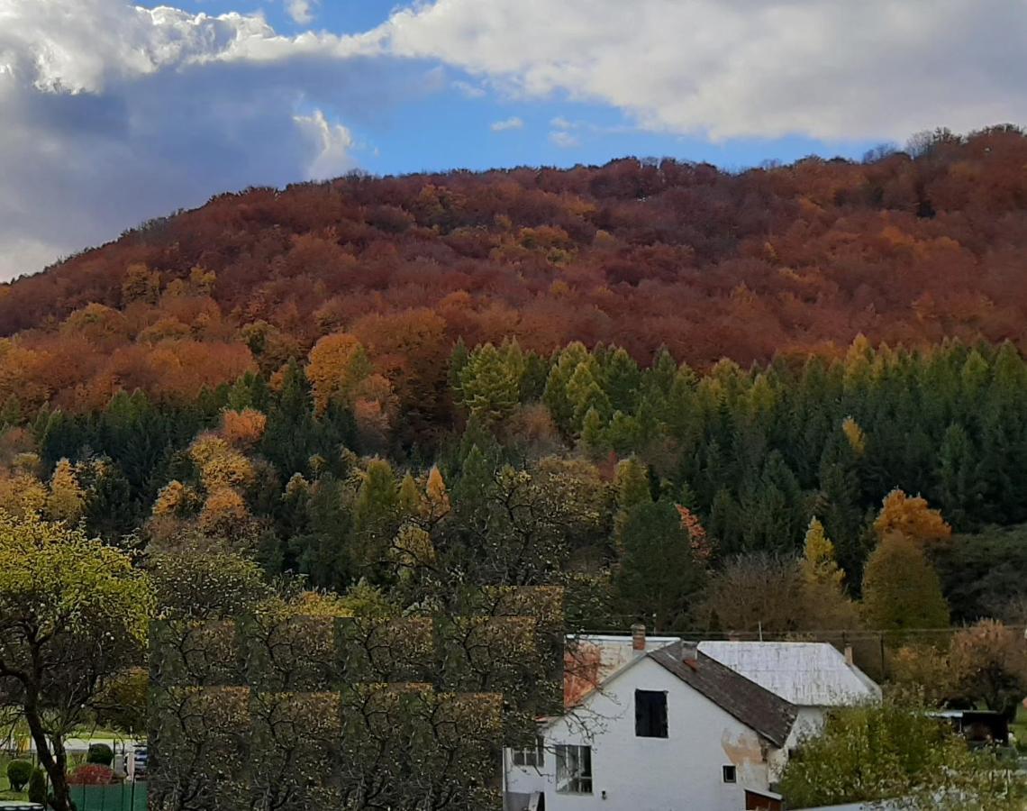 Babickin Dom Villa Medzilaborce Екстериор снимка