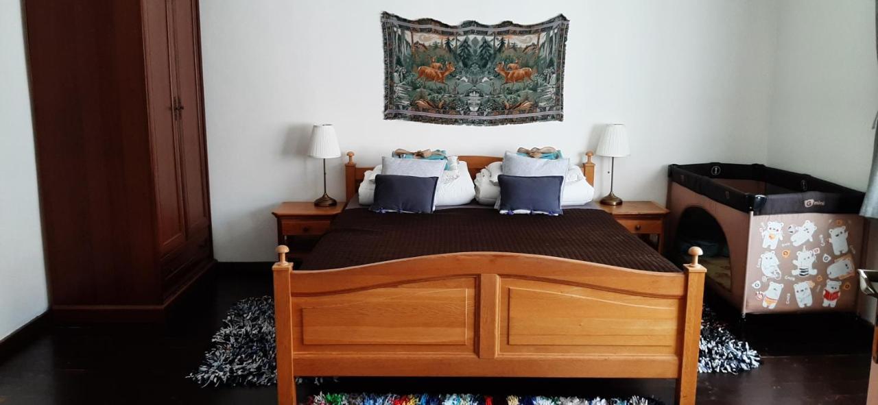 Babickin Dom Villa Medzilaborce Екстериор снимка